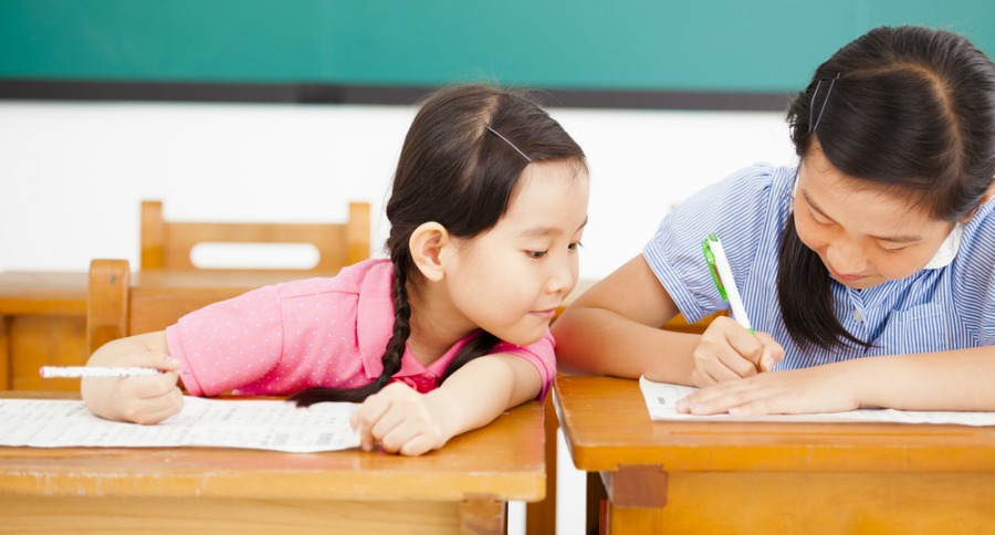School Testing Software