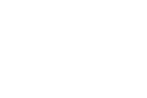 drivve logo