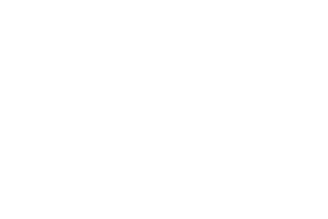 efi logo